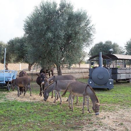 Masseria Grande Taurisano Экстерьер фото