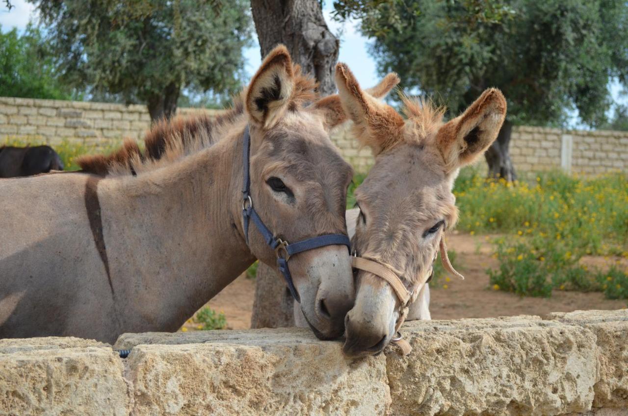 Masseria Grande Taurisano Экстерьер фото